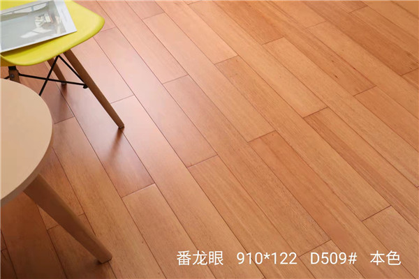番龍眼木種