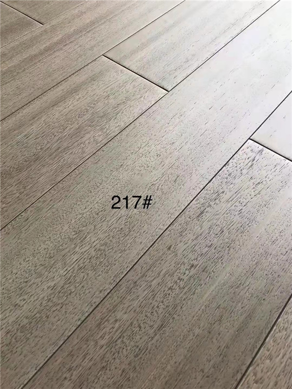圓盤豆